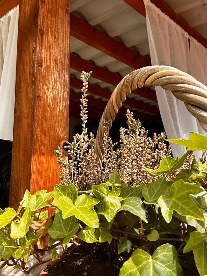 Bon Bon Del Corso Con Terrazzo E Aria Condizionata Daire Asti Dış mekan fotoğraf